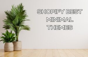 shopify best minimal themes