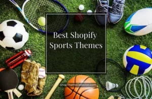 sports shopify themes