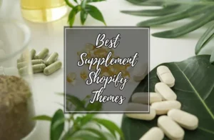 shopify supplement store themes