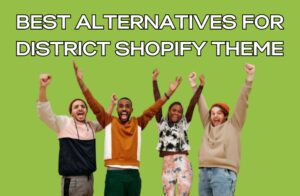 Best Alternatives for District Shopify Theme