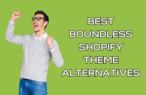Best Boundless Shopify Theme Alternatives