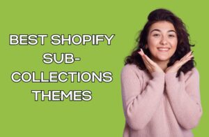 Best Shopify Sub-Collections Themes