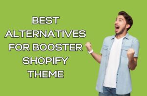 Best Alternatives for Booster Shopify Theme