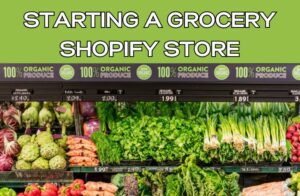 Starting a Grocery Shopify Store