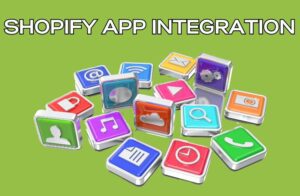Shopify App Integration