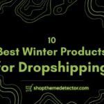 winter dropshiping