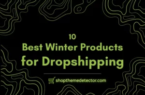 winter dropshiping